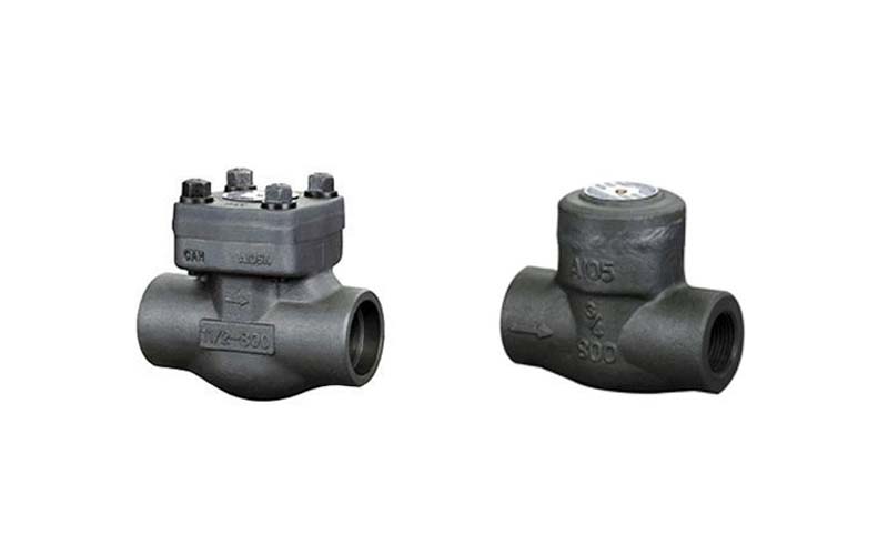 Forged Steel Check Valve Picture 1