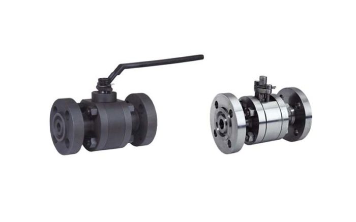 Forged Steel Floating Ball Valve Picture 2
