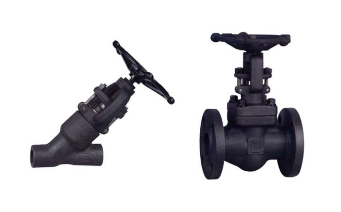 Forged Steel Globe Valve Picture 3