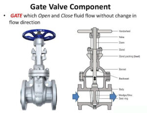 Globe Valve vs Gate Valve | How Gate Valve & Globe Valve Differ