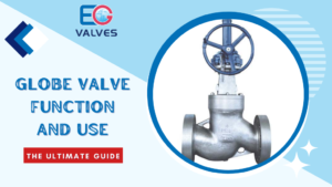 Understanding Globe Valve Function and Use: The Ultimate Guide